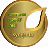 4ª CAMICORRIDA SYNGENTA – 14ª SIPAT 2025